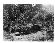 02 Typical grave, Collingwood Bay'